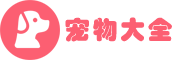 爱宠网